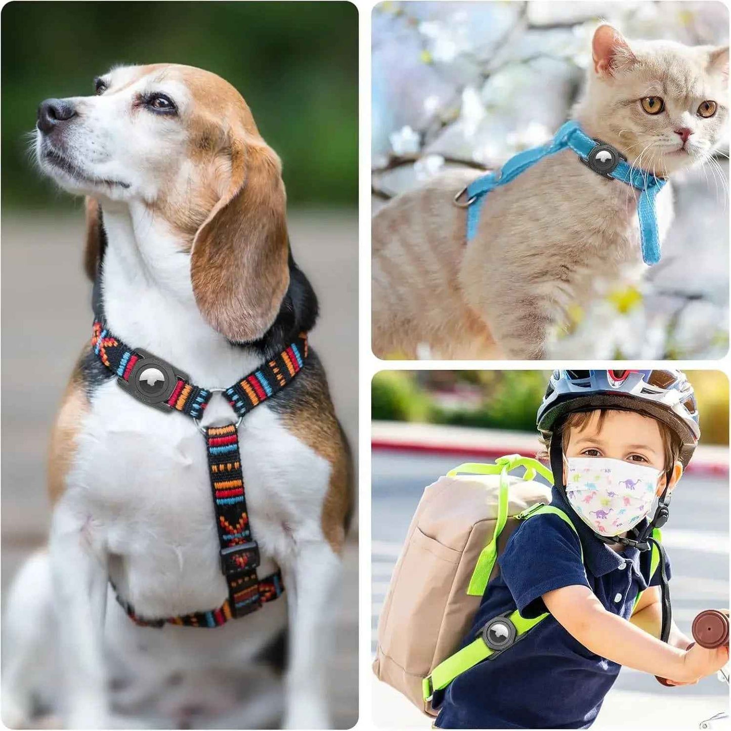 Étui AirTag pour chiens : gardez votre animal en sécurité